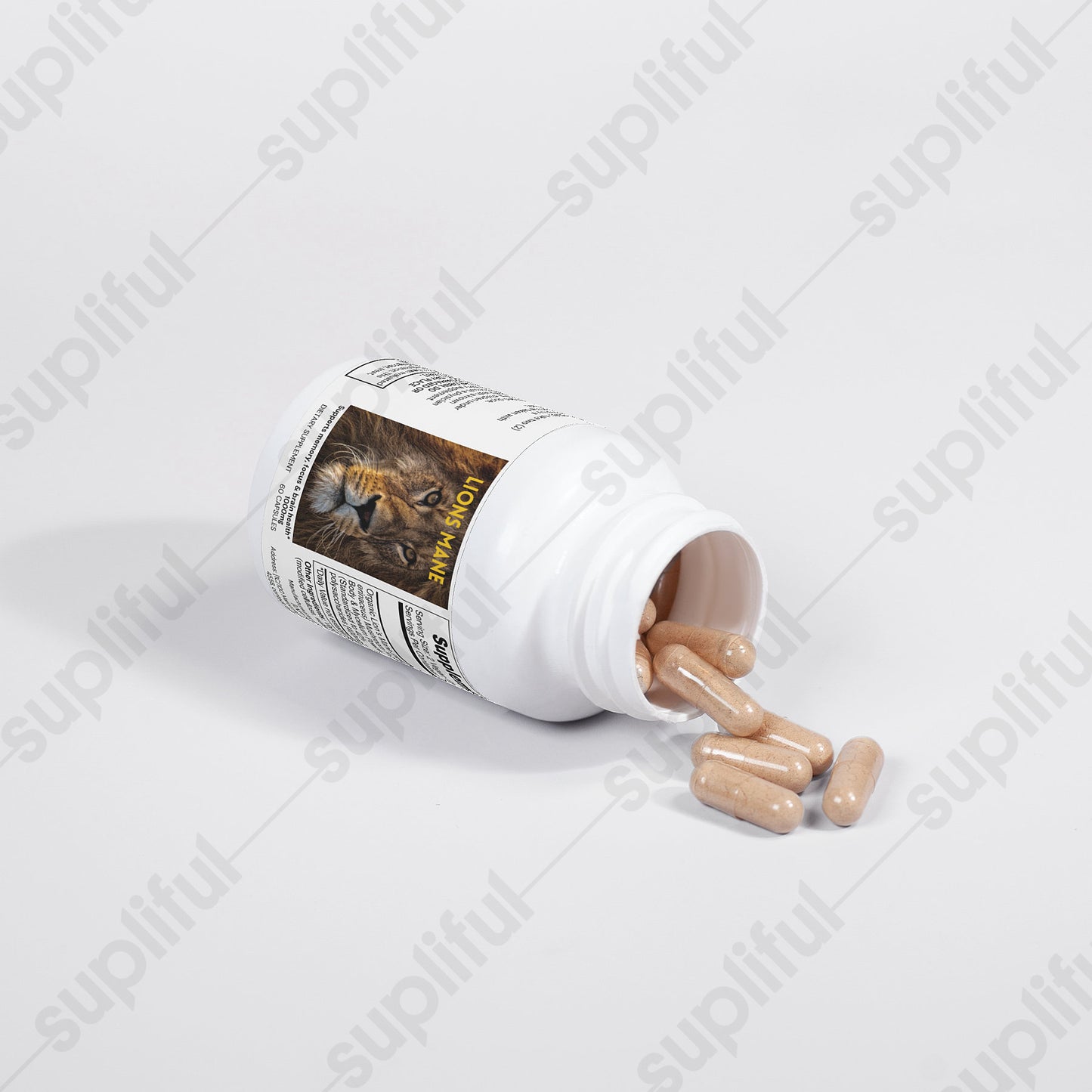 Lion's Mane Mushroom